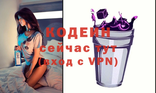 мдпв Кодинск