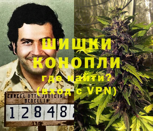 мдпв Кодинск