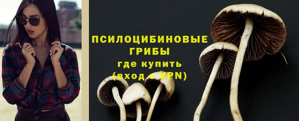 2c-b Козельск