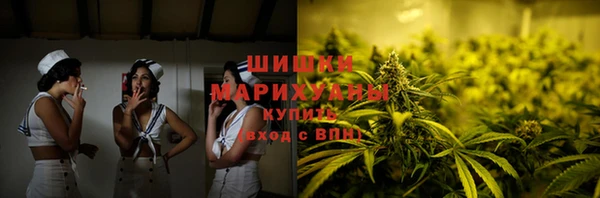 мдпв Кодинск