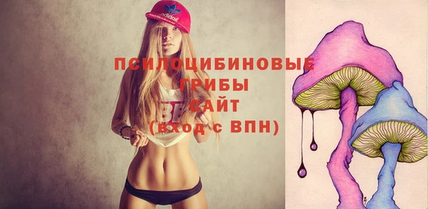 мдпв Кодинск