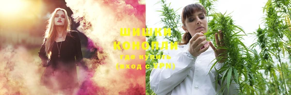 мдпв Кодинск