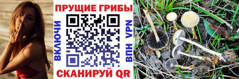 Купить  Венёв  Галлюциногенные грибы мухоморы 