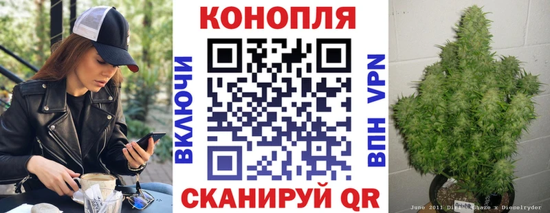 Бошки Шишки Amnesia  Купить закладки  Венёв 